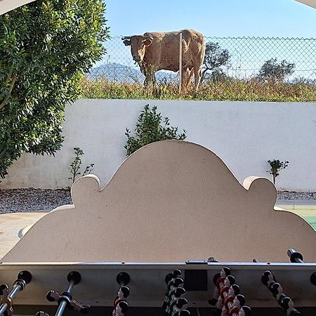 Portela Guesthouse Cercal do Alentejo Dış mekan fotoğraf