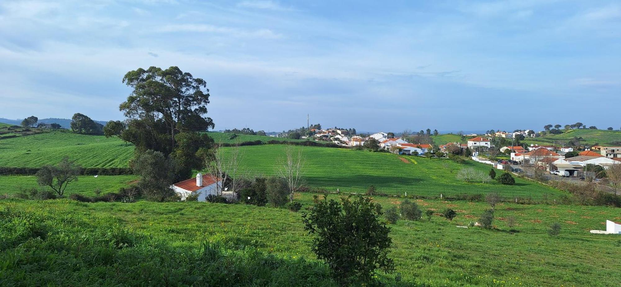 Portela Guesthouse Cercal do Alentejo Dış mekan fotoğraf