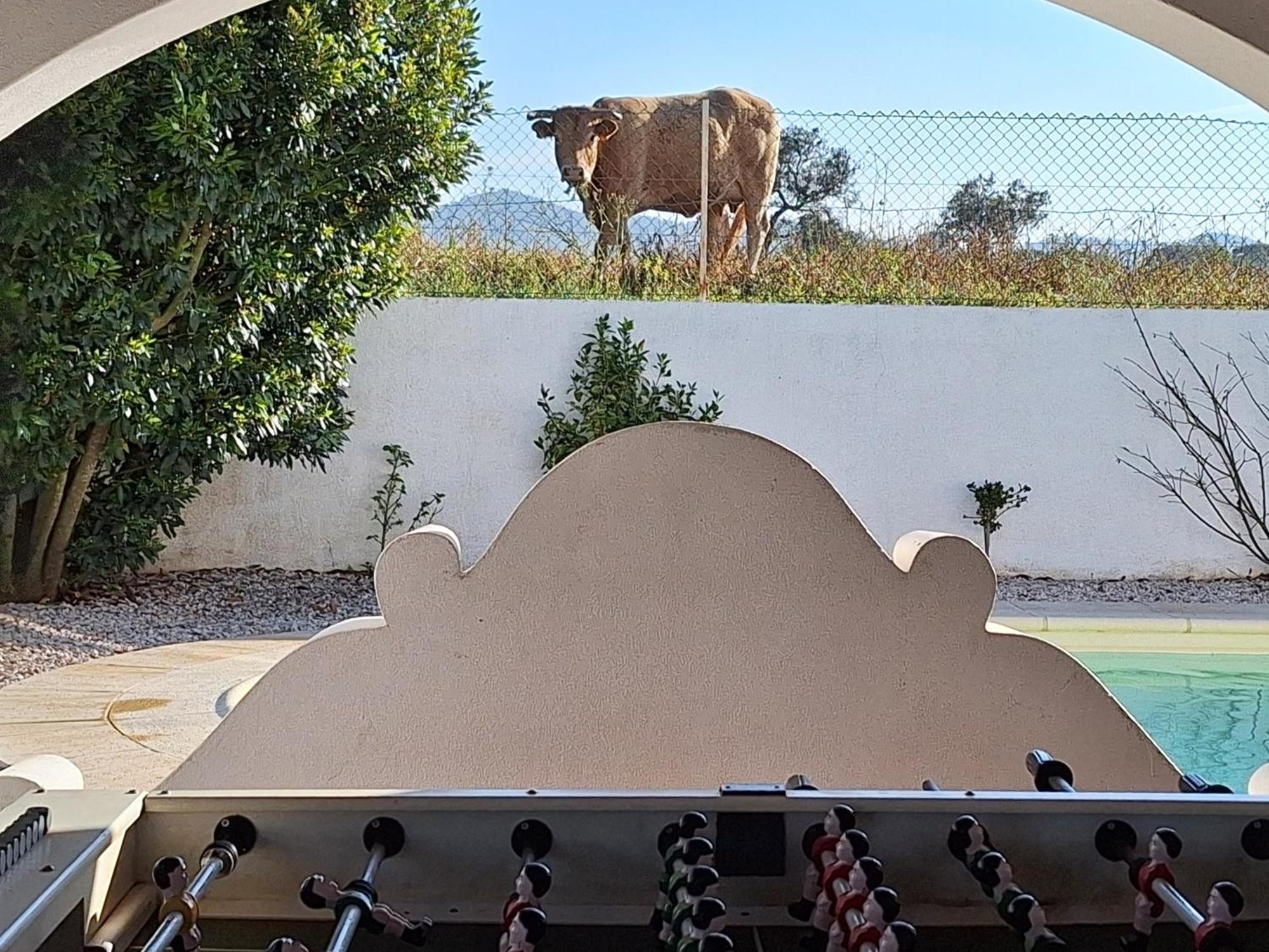 Portela Guesthouse Cercal do Alentejo Dış mekan fotoğraf