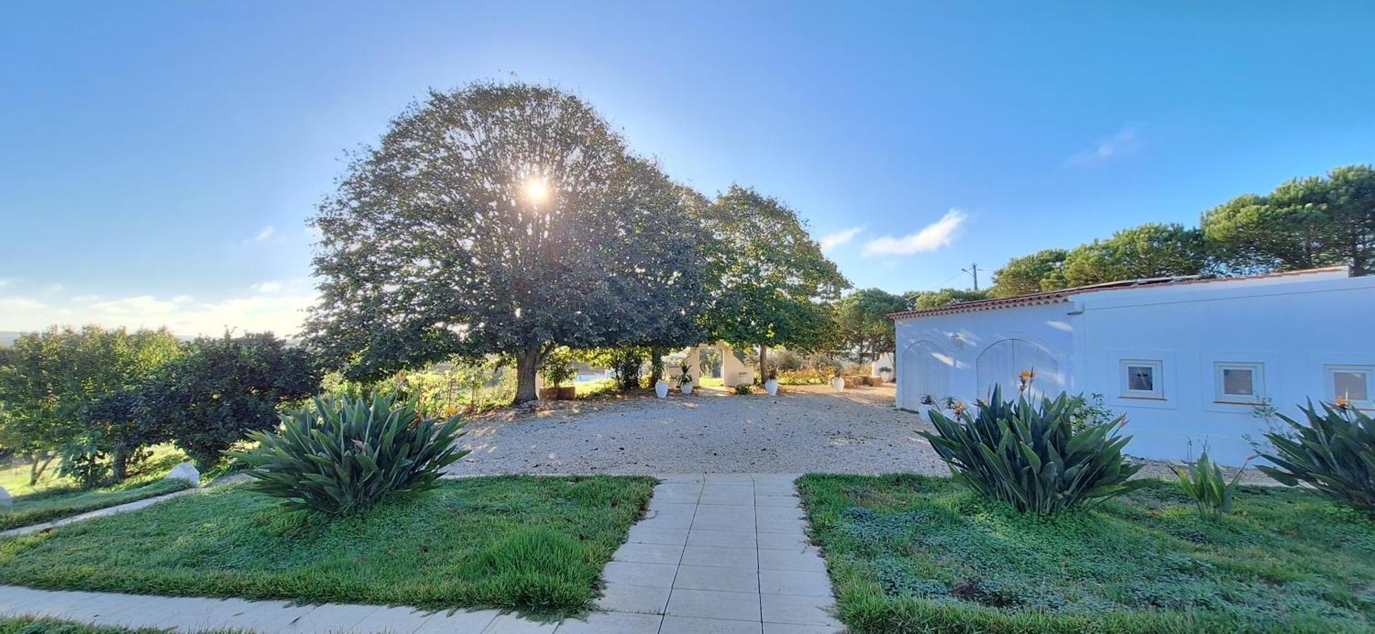 Portela Guesthouse Cercal do Alentejo Dış mekan fotoğraf